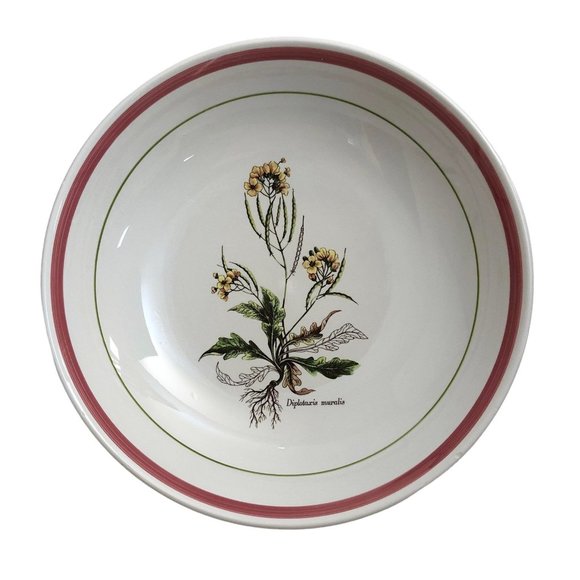 Primula Diplotaxis Muralis Serving Pasta Bowl Yellow Flower Italy Floral White - Picture 1 of 10